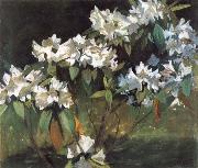 William Stott of Oldham White Rhododendrons Sweden oil painting artist